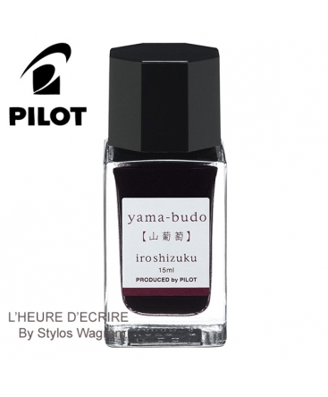 Mini Flacon D\'encre Pilot Iroshizuku Yama-Budo